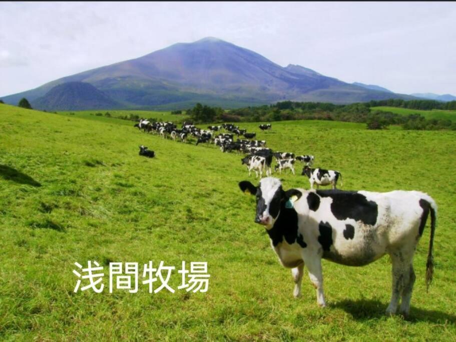 おもちゃ王国と北軽井沢の大自然を満喫できる貸別荘 كارويزاوا المظهر الخارجي الصورة